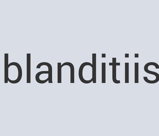 Enormous Linen Inspire Fire