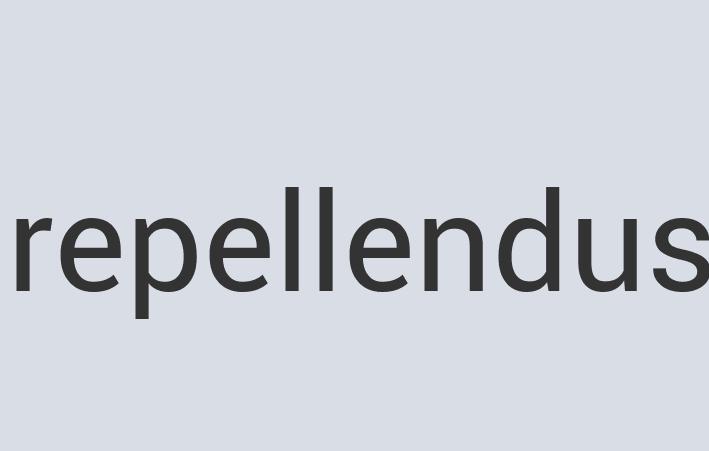 Mediocre Leather Mind Rocket